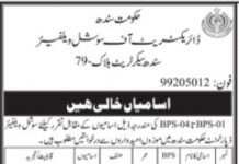 Social Welfare Department Karachi Jobs 2021