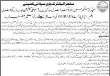 Jobs in Sukkur Electric Power Supply Company For Director General MIRAD 2021