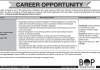 Jobs in The Bank of Punjab BoP 2021