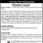Job in The Islamia University of Bahawalpur For Research Associate 2021