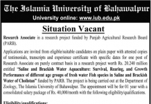 Job in The Islamia University of Bahawalpur For Research Associate 2021