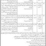 Jobs in Trade Development Authority of Pakistan For IT Experts 2021