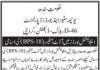 Universities & Boards Department Jobs 2021 For Audit Officers