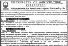 University of Agriculture Jobs 2021 In Faisalabad