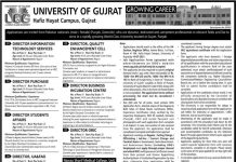 Jobs in University of Gujrat UOG in Hafiz Hayat Campus 2021