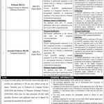 Jobs in University of Sargodha Faculty Staff 2021