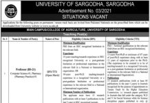 Jobs in University of Sargodha Faculty Staff 2021