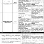Jobs in University of Sargodha Faculty Staff 2021