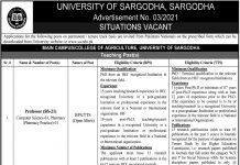 Jobs in University of Sargodha Faculty Staff 2021
