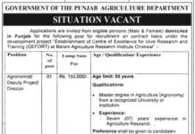 Agriculture Department Job 2021 In Lahore