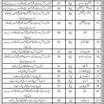 Health Department Jobs 2021 For Medical Staff In Dera Murad Jamali