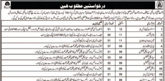 Health Department Jobs 2021 In Dera Bugti Balochistan