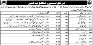 Health Department Jobs 2021 In Harnai Balochistan