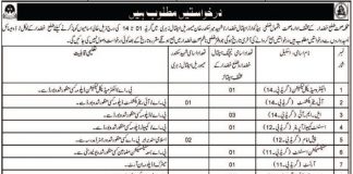 Health Department Jobs 2021 In Khuzdar Balochistan