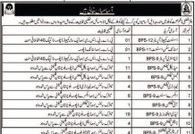 Health Department Jobs 2021 In Kohlu Balochistan