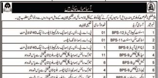 Health Department Jobs 2021 In Kohlu Balochistan