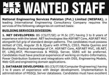 National Engineering Services Pakistan NESPAK Jobs 2021 In Lahore