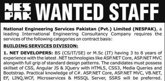 National Engineering Services Pakistan NESPAK Jobs 2021 In Lahore