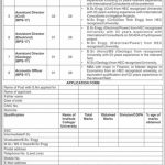 Public Sector Organization Jobs 2021 in KPK
