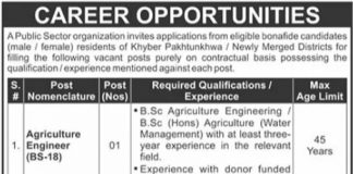 Public Sector Organization Jobs 2021