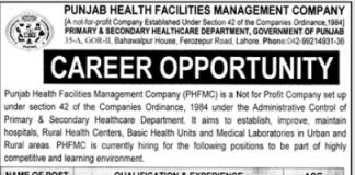 Punjab Health Facilities Management Company Job 2021 For Chief Executive Officer CEO