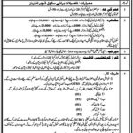 Punjab School Education Department Jobs 2021