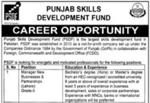 Punjab Skill Development Fund PSDF Jobs 2021 In Lahore