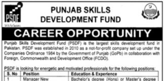 Punjab Skill Development Fund PSDF Jobs 2021 In Lahore