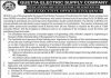 Quetta Electric Supply Company QESCO Job 2021 For Chief Executive Officer CEO