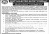 Quetta Electric Supply Company QESCO Job 2021 For Chief Internal Auditor