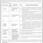 Saindak Metals Limited SML Jobs 2021 In Quetta Balochistan