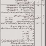 School Education Department Jobs 2021 For School Teacher Internees