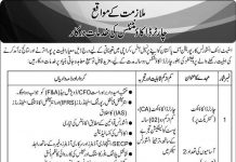 State Life Insurance Corporation of Pakistan Jobs