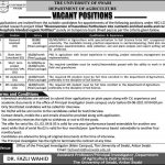 The University Of Swabi Jobs 2021