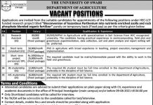 The University Of Swabi Jobs 2021