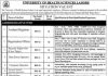 University of Health Sciences UHS Lahore Jobs 2021