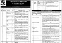 University of Mianwali Faculty & Administrative Staff Jobs 2021