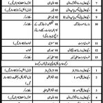 University of Sargodha Jobs 2021 For Miscellaneous Staff