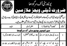 University of Sargodha Jobs 2021 For Miscellaneous Staff