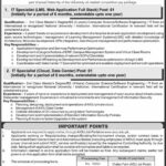 Allama Iqbal Open University AIOU Jobs 2021 For IT Specialists