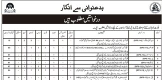 Assistant Commissioner Office Jobs 2021 In Kalat Division