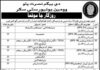 Begum Nusrat Bhutto Women University Teaching Staff & Generator Operator Jobs 2021