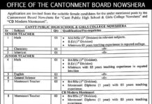 Cantt Public High School & Girls College Jobs 2021 In Nowshera Cantt