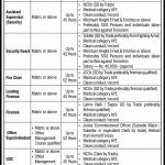 Defence Housing Authority Jobs 2021 In Karachi