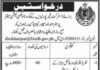 District Health Office Jobs 2021 In Khairpur