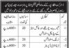 District Health Office Jobs 2021 In Shikarpur