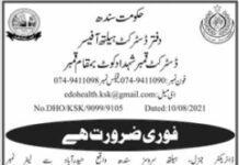 District Health Office Shahdad Kot Jobs 2021
