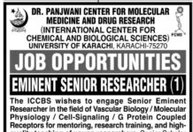 Dr Panjwani Center For Molecular Medicine And Drug Research Job 2021