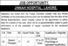 Jinnah Hospital Job 2021 For Speech Therapist