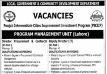 Local Government & Community Development Department Jobs 2021 In Lahore